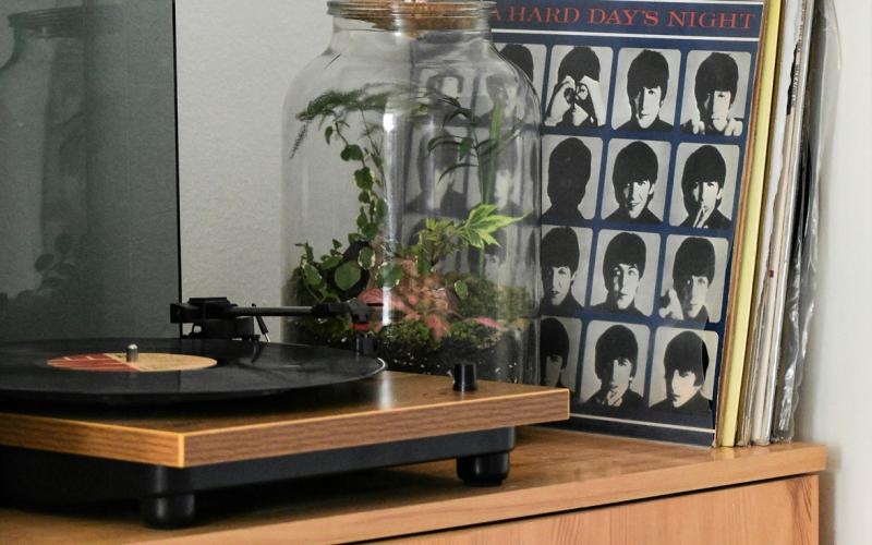 a table with a record player and records and a plant on it